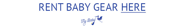 fly baby logo